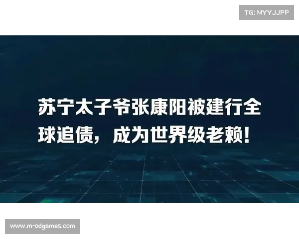 张康阳因未能偿还建行三亿欧元欠款需参加三场听证会 张康阳因未能偿还建行三亿欧元欠款需参加三场听证会